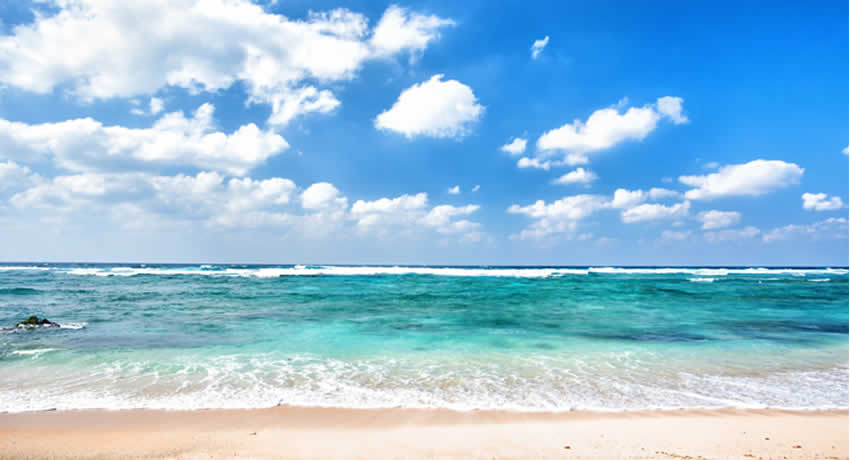 夏のアルバイトさん募集中！