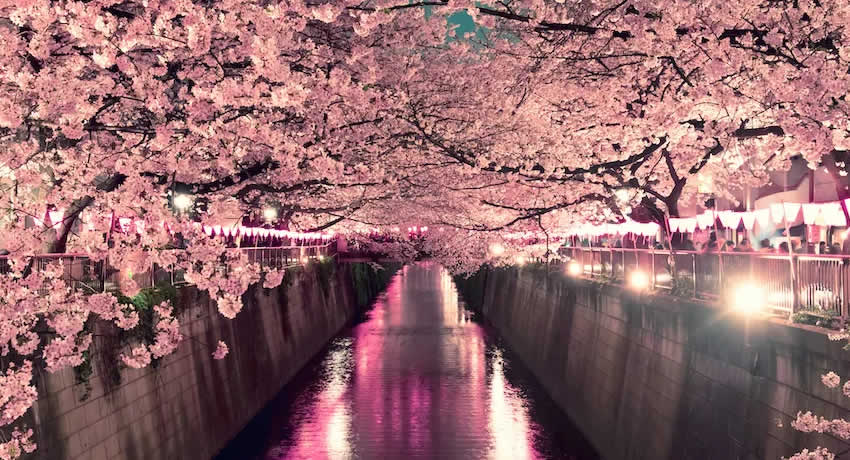 春の松島新地は稼げます！！